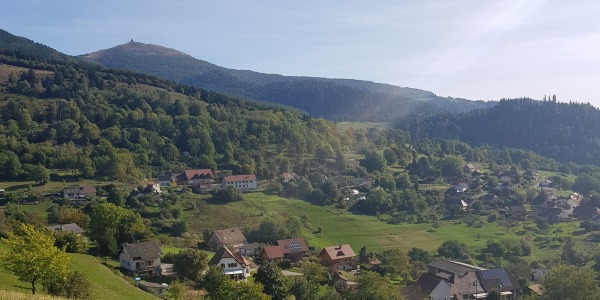 LÀ - HAUT SUR LA MONTAGNE : déménagement et nouvelles formations