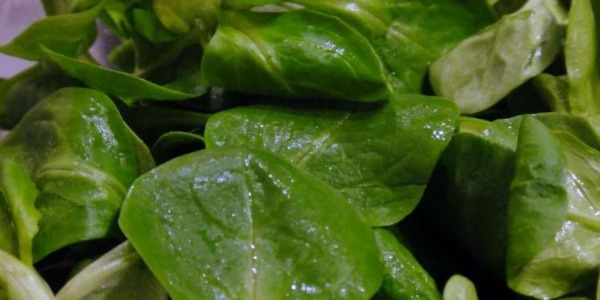 Recette : Carpaccio de betterave et mâche